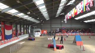 Breezer IFCS Biathlon Agility [upl. by Elle405]