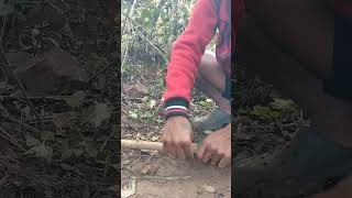 Bandhne ka Sahi tarika bushcraft farming outdoorsurvival [upl. by Nnylarak138]