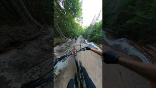 Biking down a River mountainbiking mtb [upl. by Noxaj]