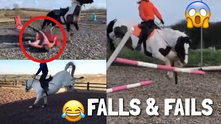 horse FALLS AND FAILS  Subscriber Edition pt2  equine mollie [upl. by Oba]