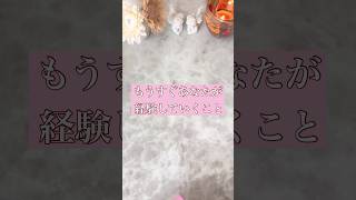 準備は万端❣️もうすぐあなたが経験していくこと 癒し bgm asmrsounds 占い カードリーディング タロット mimico みみこ 癒しの占 [upl. by Nitsug]