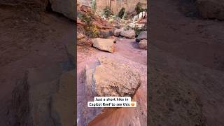 Only 17 miles outandback 🤩 utah capitolreef nationalpark arch subscribe [upl. by Sachiko]