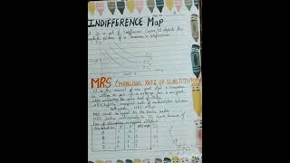 Economics project file of class 11th Indifference curve consumer equilibrium project file shorts [upl. by Asselim]