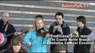 Traditional Irish music [upl. by Alene14]