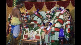 Chithirai Fest  Thirukalyanam  Sri Karaneeswarar Temple Mylapore [upl. by Cirda]