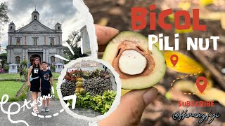 A Few Days Vacation at Bicol  Our Delicacy Pili Nut In Our Province [upl. by Debor705]