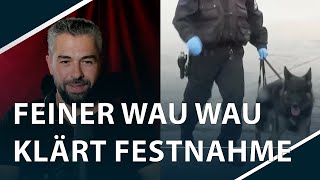 Weiteres islamistisches Zentrum dichtgemacht  Irfan Peci [upl. by Bullough]