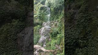 zindagi ki talash mein hum hindisong music bollywood waterfall sad sadstatus trending [upl. by Nyad]