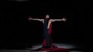 Nijinsky  Ballett von John Neumeier [upl. by Verdi544]