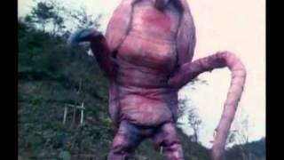 WTF Japanese Movie Pink Armadillo Attack wtf pink armadillo attack [upl. by Holmann]