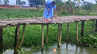 কুমিল্লায় বিলে কত বড় রূপচাঁদা মাছ ধরলাম  Fishing in beel  amazing canal fishing video [upl. by Ambrosius]