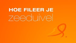 Hoe fileer je zeeduivel [upl. by Strickman]