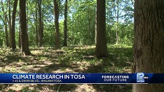 Climate adaptation research happening inside Wauwatosa forest [upl. by Enoid417]