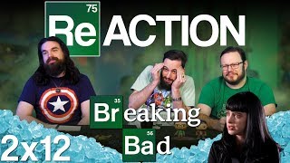 Breaking Bad 2x12 REACTION quotPhoenixquot [upl. by Anirbes]