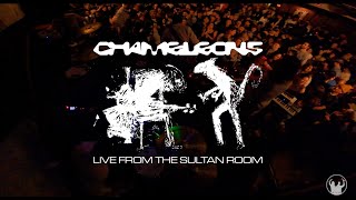 Chameleons – Live from The Sultan Room [upl. by Yk]