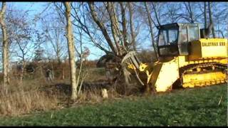 GALOTRAX 800  World heaviest forestry mulcher  Broyeur forestier le plus puissant au monde [upl. by Molly]