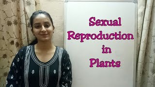 Reproduction in Plants  Life processes lecture series  Biology class 10  Lecture 27 [upl. by Odnam]