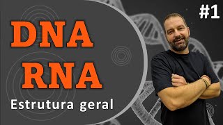 DNA e RNA  Ácidos nucleicos [upl. by Elleimac]