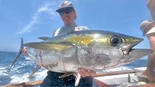 AMAZING YELLOWFIN TUNA FISHING ACTION in OUTER BANKS  AHI TUNA CATCH AND COOK [upl. by Sicnarf]