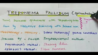 Treponema pallidum  Microbiology  Handwritten notes [upl. by Charmian896]