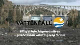 Vattenfalls romantiska bild [upl. by Ahsimin]