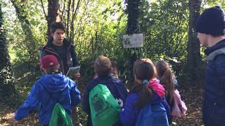 Alternanza Scuola Lavoro Liceo Scientifico Giorgione [upl. by Aenitsirhc]