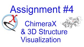 Assignment 4 ChimeraX and 3D Structure [upl. by Akenahs792]