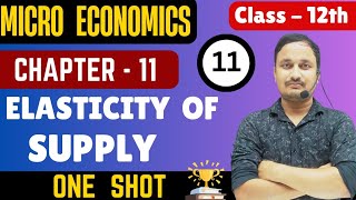 Elasticity of supplymicro economicsclass 12chapter 11economics class 12 [upl. by Anoval795]