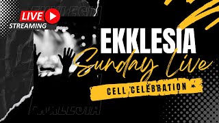 Ekklesia Cell Celebration 111724 [upl. by Brock]