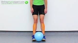 Tibialis Anterior Muscle Strengthening Exercise Tutorial Level 3  ONLINE PHYSIO EXERCISES [upl. by Neicul]