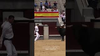 LOS MEJORES SALTOS A TOROS EN LAS VENTAS tricks madrid sports [upl. by Hopfinger]