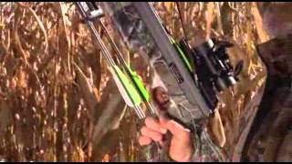 Meet Excalibur Crossbows  Presented By TheCrossbowStorecom [upl. by Strickland]