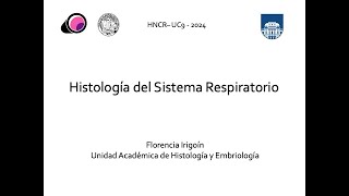 Sistema Respiratorio [upl. by Gnim]