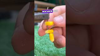 Técnica de índio para colocar milho 🌽 no anzol 😱 pesca anzol shorts tools dica [upl. by Marysa]