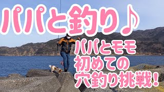 パパと釣り 穴釣りに挑戦 西伊豆宇久須港 それそろモモに美味しいお魚食べさせてよ [upl. by Leveridge216]