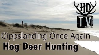 Hunting Gippsland for Hog Deer part 2 [upl. by Ventre]