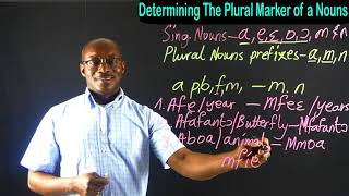 Twi Singular and Plural Nouns 5  Determining The Plural Marker of The Nouns  Learn Twi with Opoku [upl. by Ahtekahs33]