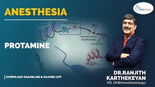 Anesthesia  Protamine  Raaonline anesthesia anesthesiology anesthesiologist protamine [upl. by Bithia]