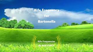 Bartonella  Rife Frequency [upl. by Gnoz]