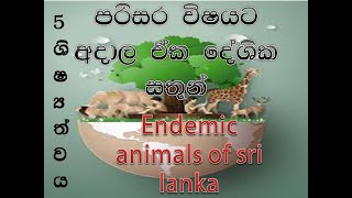 Endemic animals of sri lanka [upl. by Eilrahs]