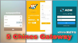 5 Chines Gateway  Sunpay Payment Gateway  Chines Payment Gateway  Xdpay payment gateway  Sunpay [upl. by Norehc]