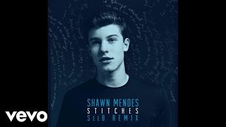 Shawn Mendes  Stitches SeeB Remix  Official Audio [upl. by Perla232]