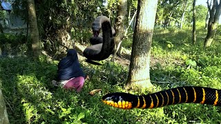 snake movie \ HD video \ real video \ part 1 \ VFXXTTV [upl. by Ahsekat]