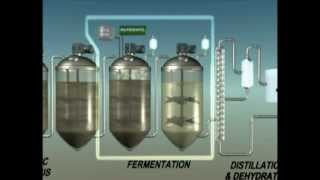 Biochemical Conversion of Biomass to Biofuels [upl. by Galven957]