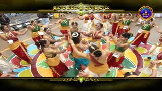 Manasara Narada  Srivari Navaratri Brahmotsavam Song  111018  SVBC TTD [upl. by Karlen]