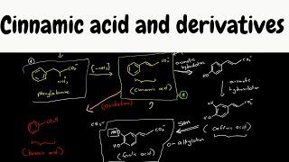 cinnamic acid biosynthesis  biosynthesis part 9 [upl. by Borchers]