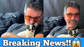 Breaking News 😱AGT Simon Cowell Is quotin Lovequot with Sofia Vergaras Super Tiny New Chihuahua Puppy [upl. by Indihar481]