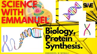 PROTEIN SYNTHESIS TRANSCRIPTION amp TRANSLATION GCSE AND IGCSE BIOLOGY  AQA EDEXCEL CIE OCR WJEC [upl. by Laban500]