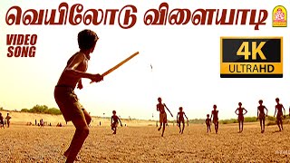 வலை விரிக்கிறேன்  Valai Virikkiran  Vijayakanth Murali Hits  Tamil Movie Song HD [upl. by Dacia]