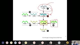 Lecture6b SBL704 Virology 19 01 2022 [upl. by Drapehs91]